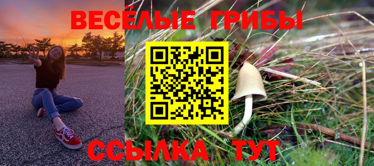 Псилоцибиновые грибы прущие грибы Бийск