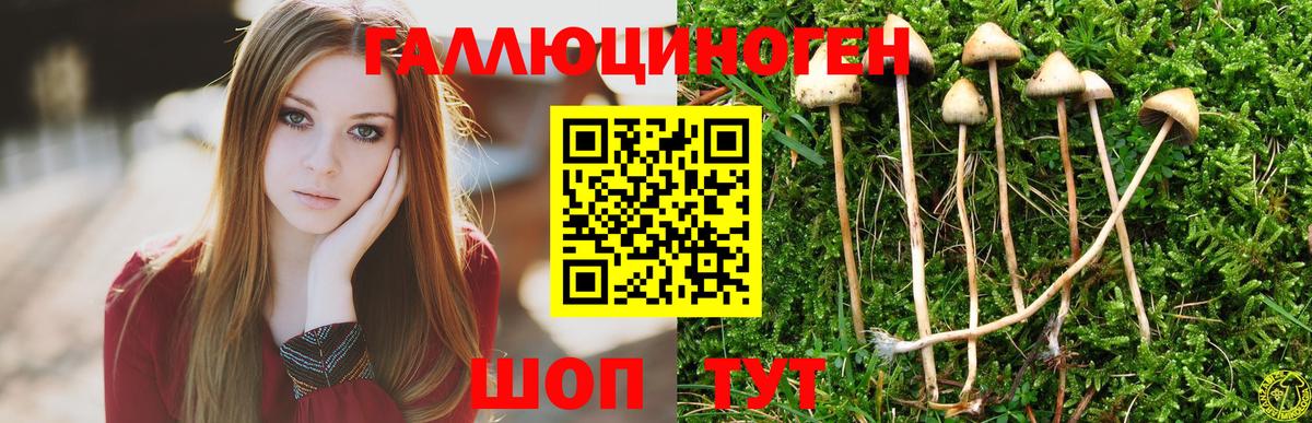 Галлюциногенные грибы мухоморы  Псилоцибиновые грибы ЛСД  Вход с VPN  Бийск 